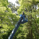 Tree Care Services