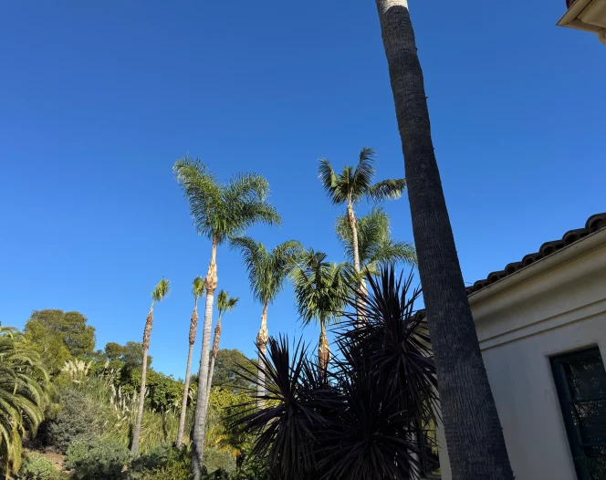 2026 02 22T02 24 38.173942Z 019c8328 d001 7a08 8d92 72023043b346 1