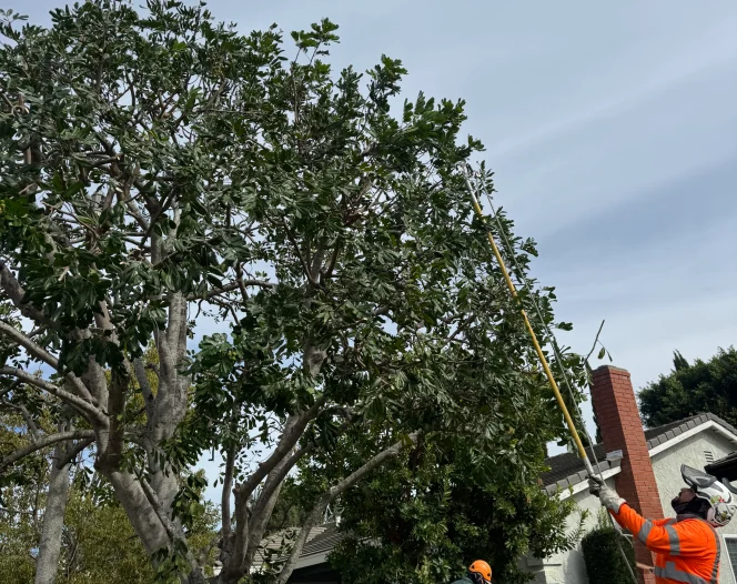 2026 02 24T23 05 51.882725Z 019c91da 053f 707d bb24 36ee1736f772 1