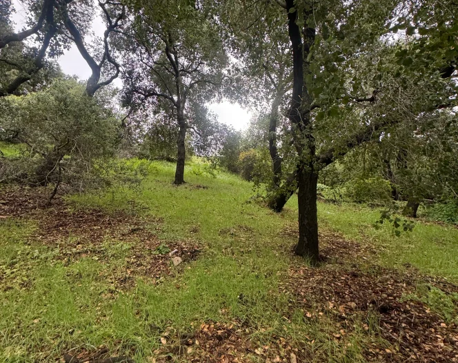 2026 04 02T02 19 27.653853Z 019d4bfa aaa9 7486 b876 e77a78fe24e5 1