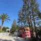 (Blog) Essential Tips to Safeguard Your Trees Against Santa Ana Winds in Oxnard & Ventura County